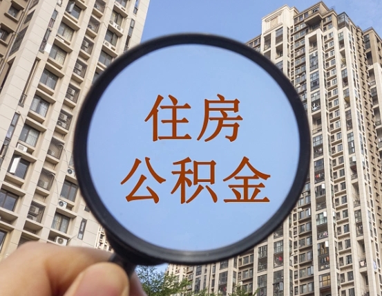 阳春自动离职了公积金怎么提出来（自动离职住房公积金怎么取）